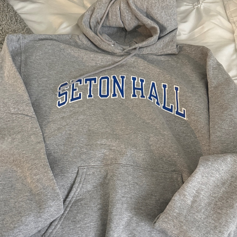 Champion Gray Hoodie with Blue Lettering
